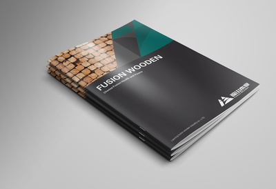 深圳企业画册设计的成功之道 时间与形象策划并重