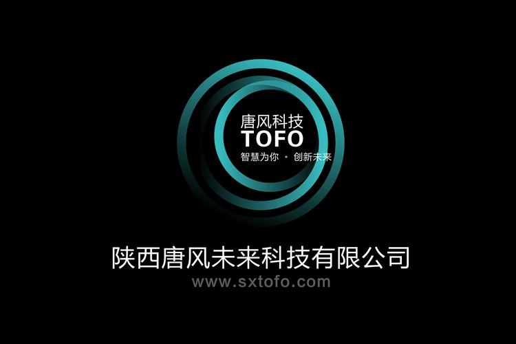 陕西唐风未来科技市场营销策划方案